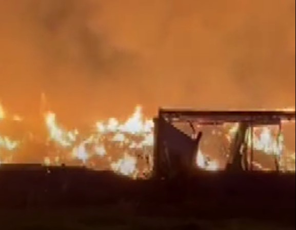 Ekran Görüntüsü 2025 11 23 231947