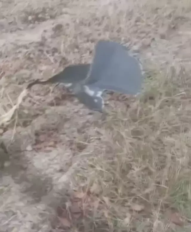 Gurcistan Da Dusen Askeri Kargo Ucaginin 19244009 1428 M