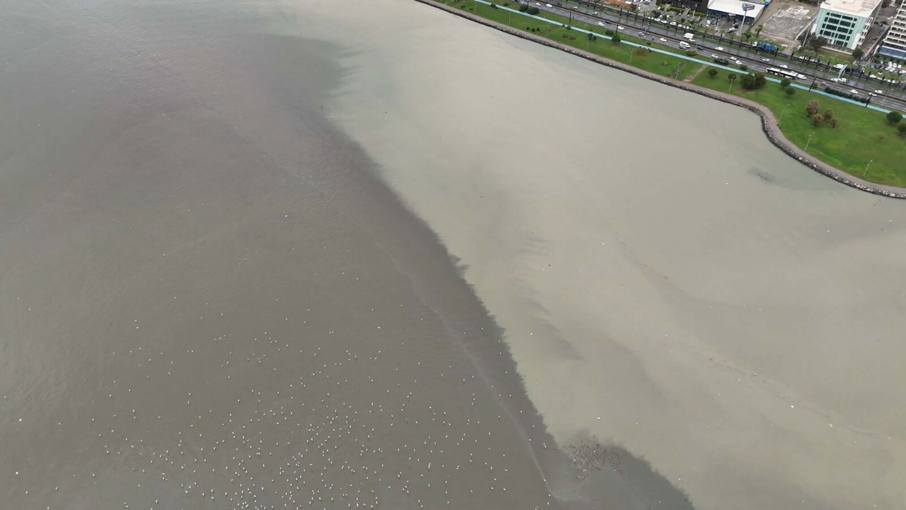 I Z M I R D E S A G A N A K E T K I L I O L D U (2) 1038588 308231