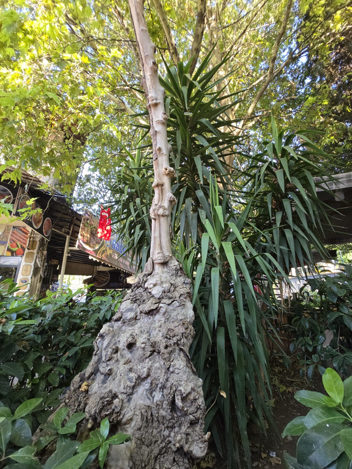 Whatsapp Image 2025 11 07 At 12.52.48