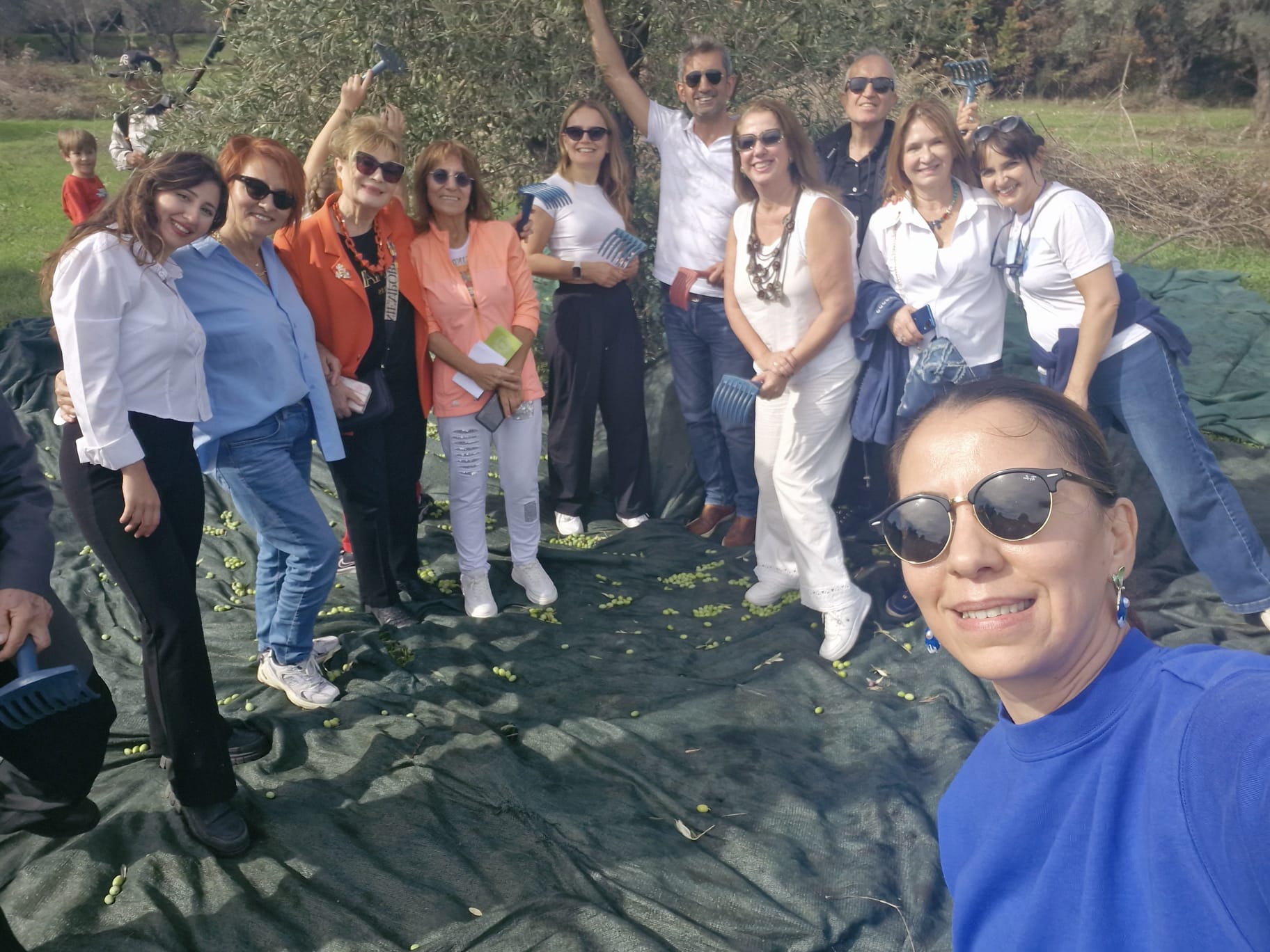 Whatsapp Image 2025 11 17 At 11.29.29 (1)