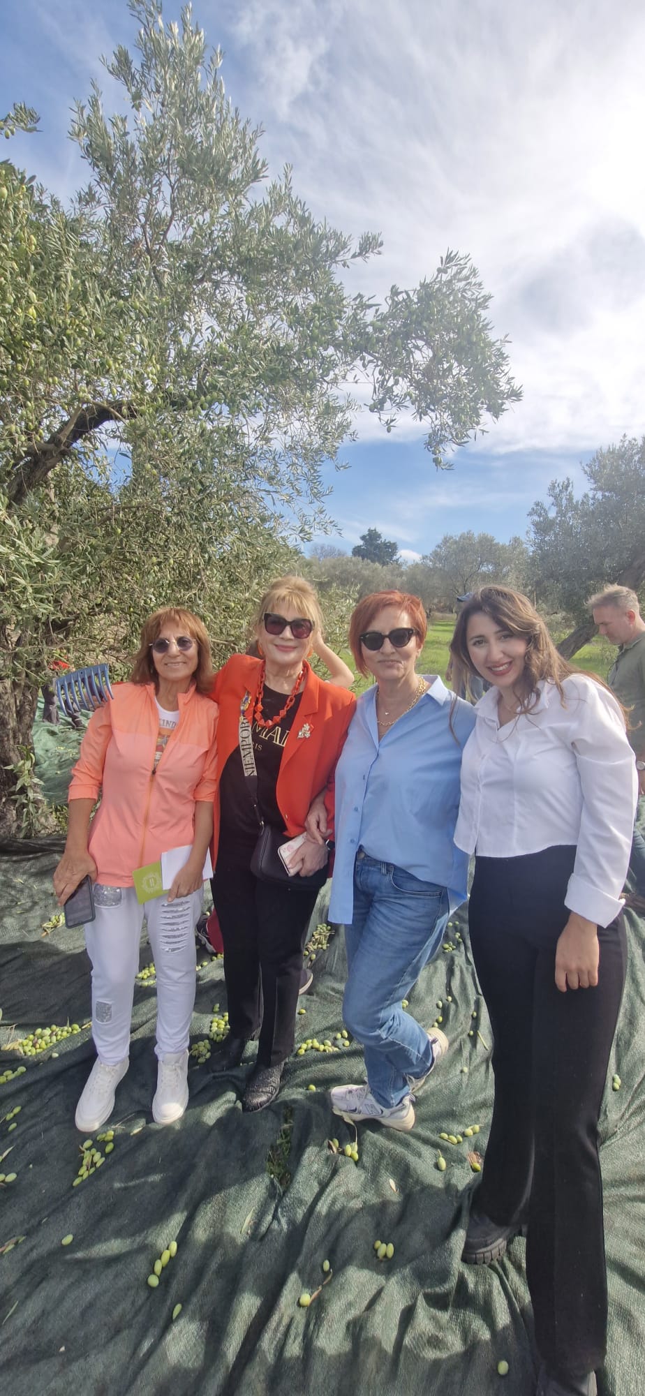 Whatsapp Image 2025 11 17 At 11.29.31