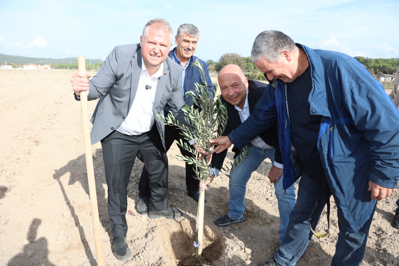 Zeytin Koleksiyon Bahçesi Fidan Dikimi (9)