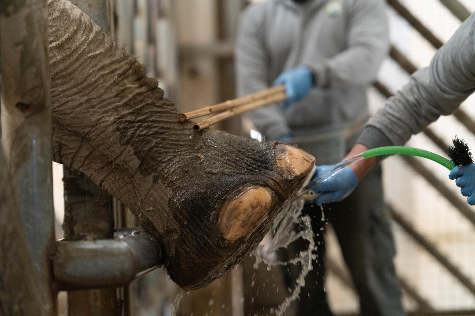 31.12.2025 897640E4 D43D 4D6F 91D1 634Cbfed1Ecf