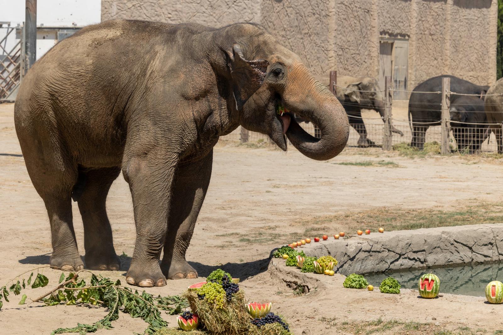 31.12.2025 8C536740 5D56 469D A611 E30B949Dc970