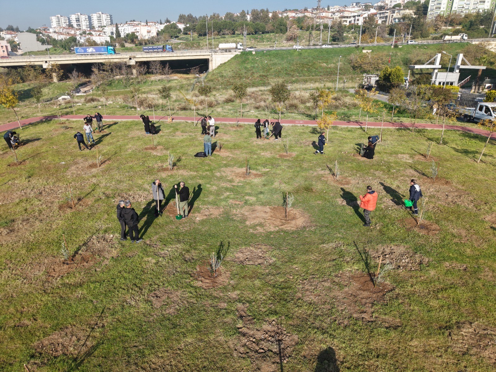 3B038125 8Dfa 4C08 B962 162D3Bf0F02D