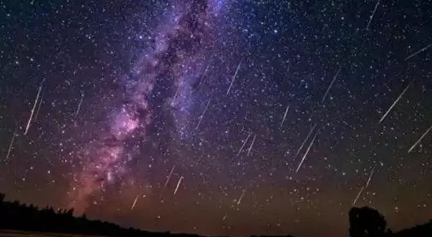 5Ca1C34245D2A0296416Eaf1-1