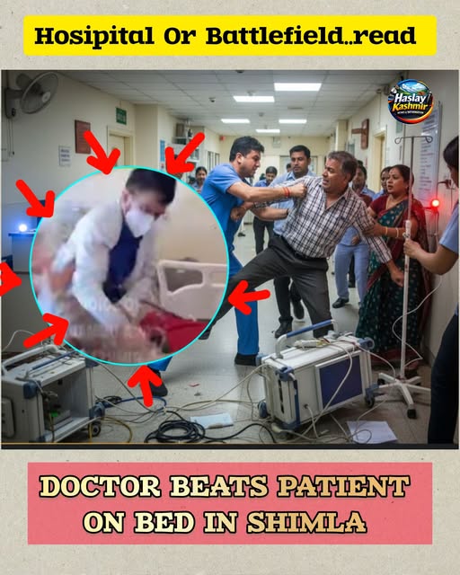 600296520 1376946783905137 2632556228255907630 N