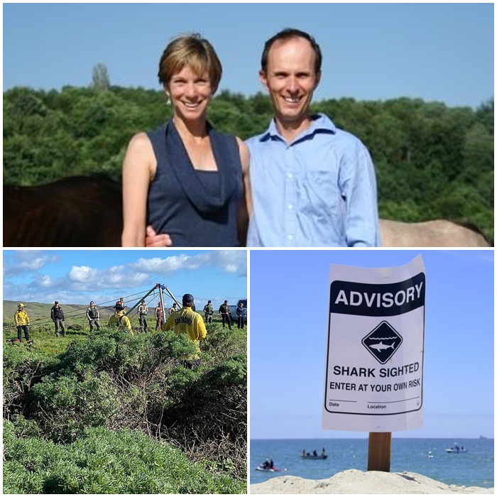 606073619 1966749510603792 3954664945060390180 N