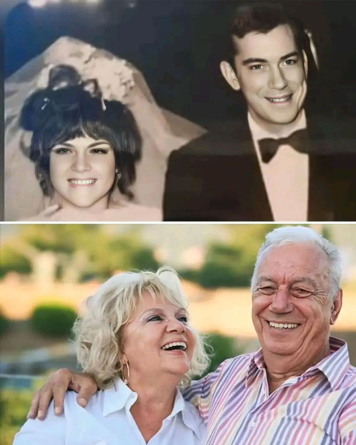 69301Aabc6C9E280 W1200Xh1500