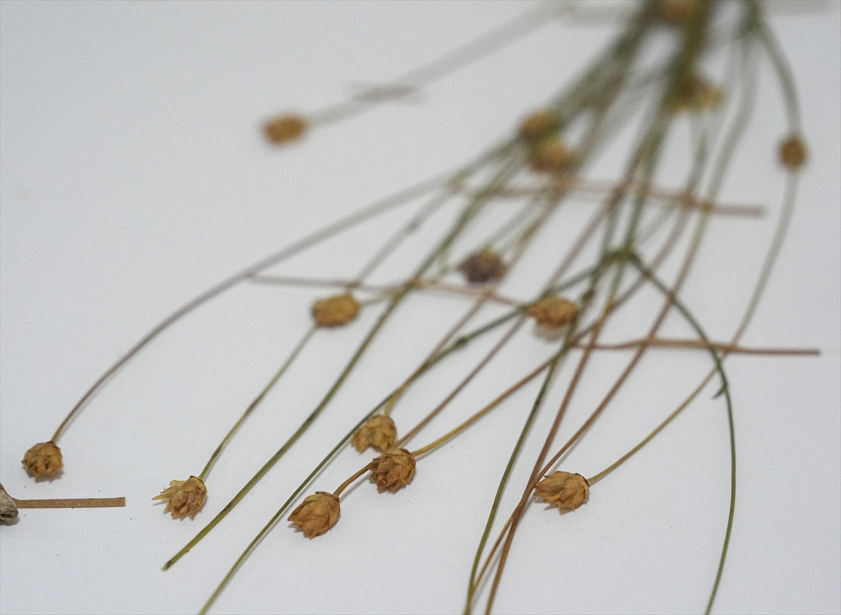 A A 20251216 39993615 39993599 E M E K L I F E N B I L G I S I O G R E T M E N I N I N D I K K A T I Y E N I B I T K I T U R U N U N K E S F I N I S A G L A D I