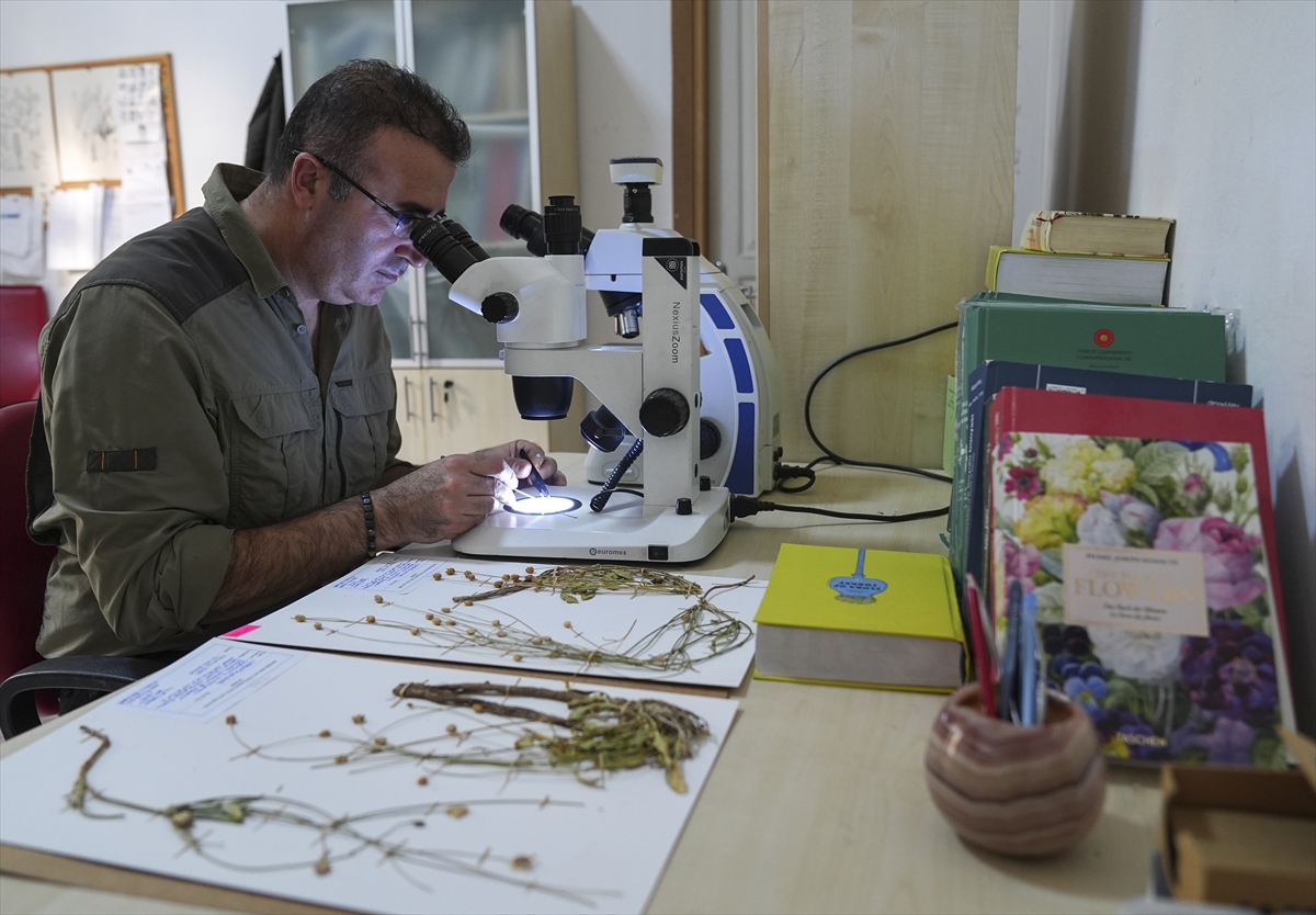 A A 20251216 39993615 39993600 E M E K L I F E N B I L G I S I O G R E T M E N I N I N D I K K A T I Y E N I B I T K I T U R U N U N K E S F I N I S A G L A D I