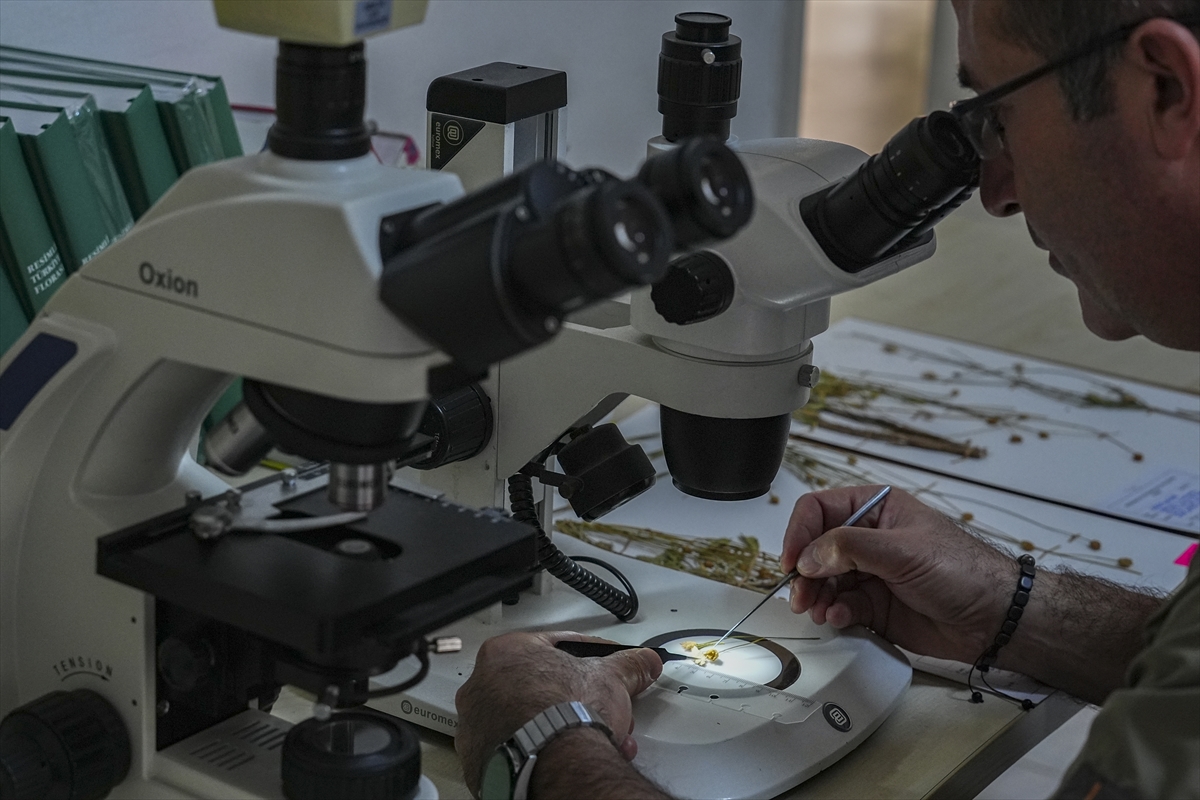 A A 20251216 39993615 39993601 E M E K L I F E N B I L G I S I O G R E T M E N I N I N D I K K A T I Y E N I B I T K I T U R U N U N K E S F I N I S A G L A D I