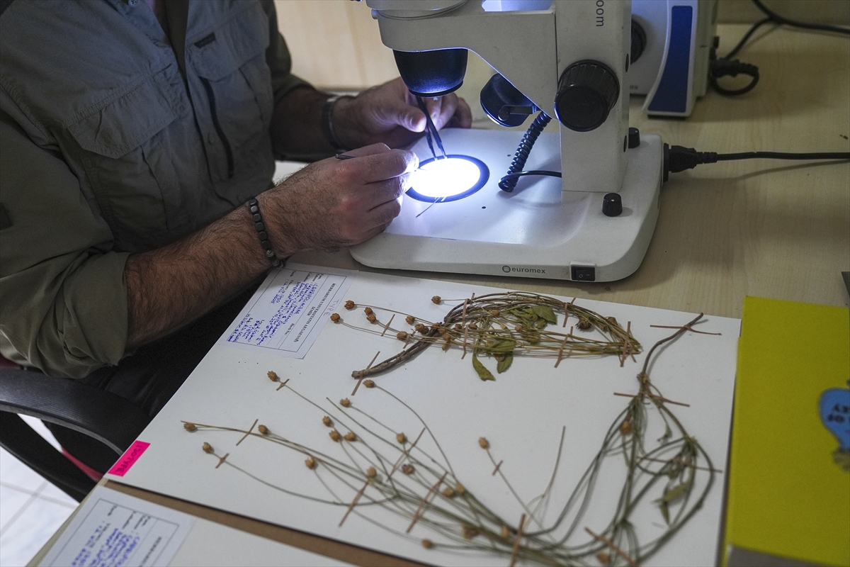 A A 20251216 39993615 39993602 E M E K L I F E N B I L G I S I O G R E T M E N I N I N D I K K A T I Y E N I B I T K I T U R U N U N K E S F I N I S A G L A D I