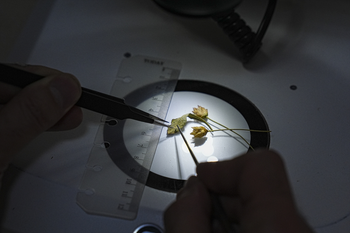 A A 20251216 39993615 39993603 E M E K L I F E N B I L G I S I O G R E T M E N I N I N D I K K A T I Y E N I B I T K I T U R U N U N K E S F I N I S A G L A D I