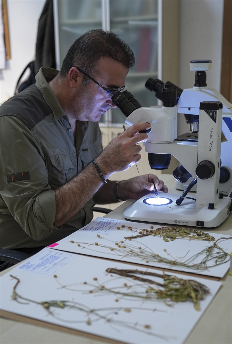 A A 20251216 39993615 39993605 E M E K L I F E N B I L G I S I O G R E T M E N I N I N D I K K A T I Y E N I B I T K I T U R U N U N K E S F I N I S A G L A D I