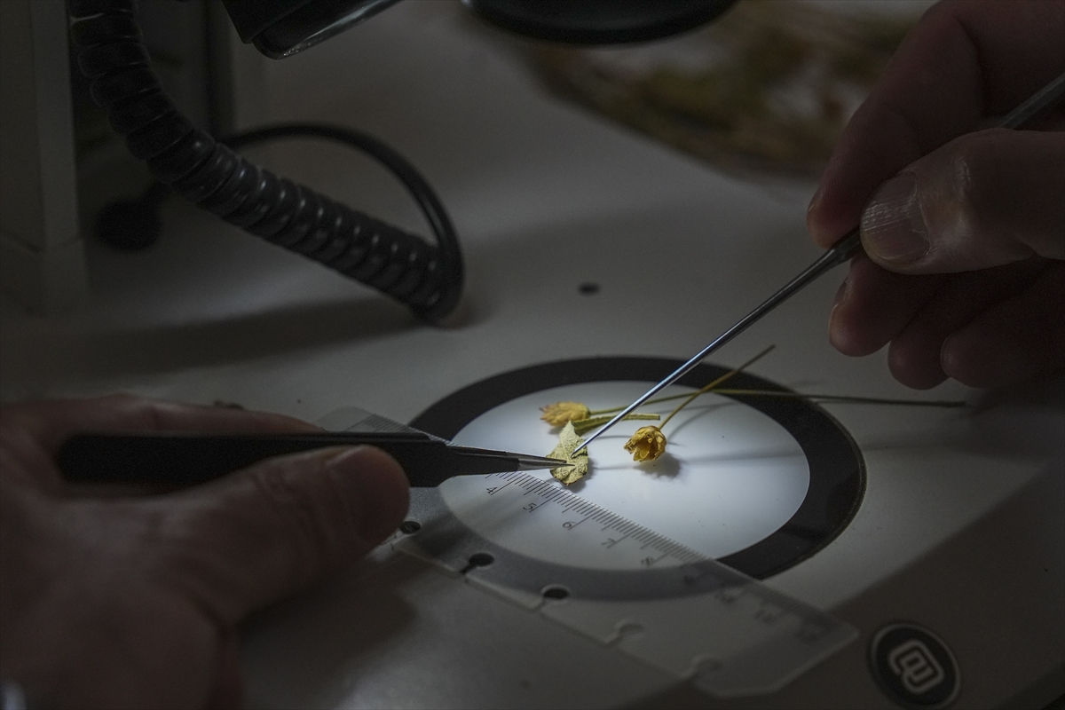 A A 20251216 39993615 39993607 E M E K L I F E N B I L G I S I O G R E T M E N I N I N D I K K A T I Y E N I B I T K I T U R U N U N K E S F I N I S A G L A D I