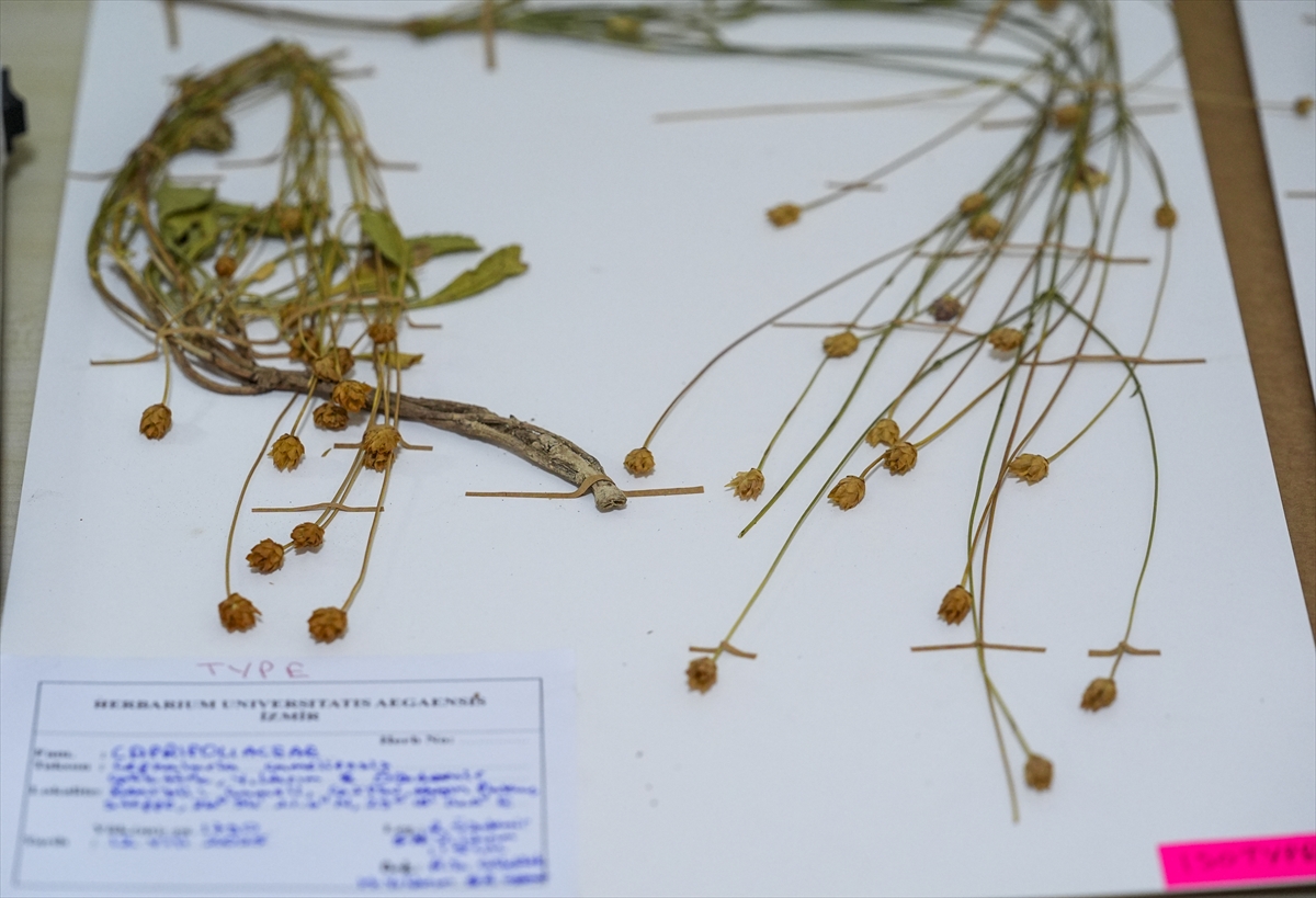 A A 20251216 39993615 39993608 E M E K L I F E N B I L G I S I O G R E T M E N I N I N D I K K A T I Y E N I B I T K I T U R U N U N K E S F I N I S A G L A D I