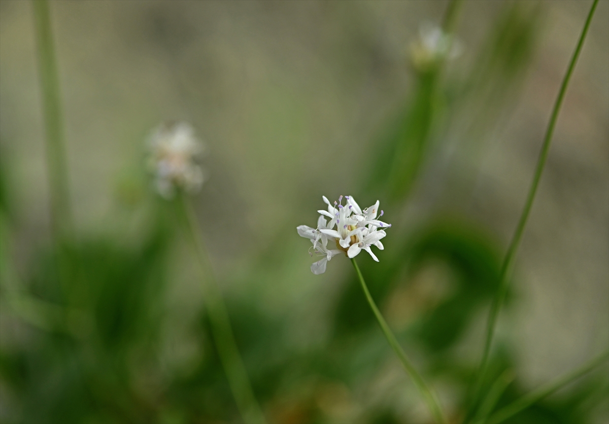 A A 20251216 39993615 39993610 E M E K L I F E N B I L G I S I O G R E T M E N I N I N D I K K A T I Y E N I B I T K I T U R U N U N K E S F I N I S A G L A D I