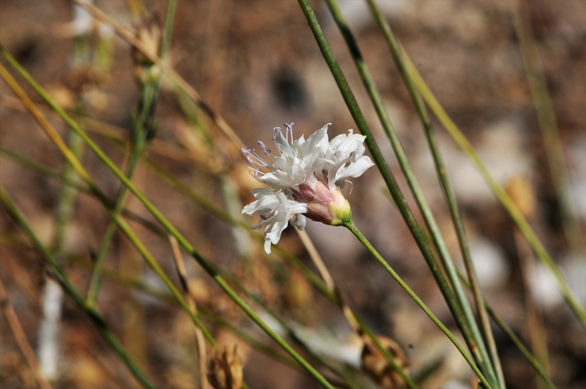 A A 20251216 39993615 39993612 E M E K L I F E N B I L G I S I O G R E T M E N I N I N D I K K A T I Y E N I B I T K I T U R U N U N K E S F I N I S A G L A D I