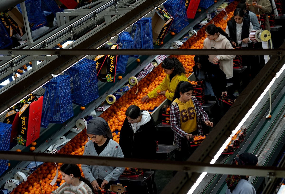 A A 20251217 40002712 40002692 T U R K I Y E N I N M A N D A L I N A I H R A C A T I R E K O R A U L A S T I