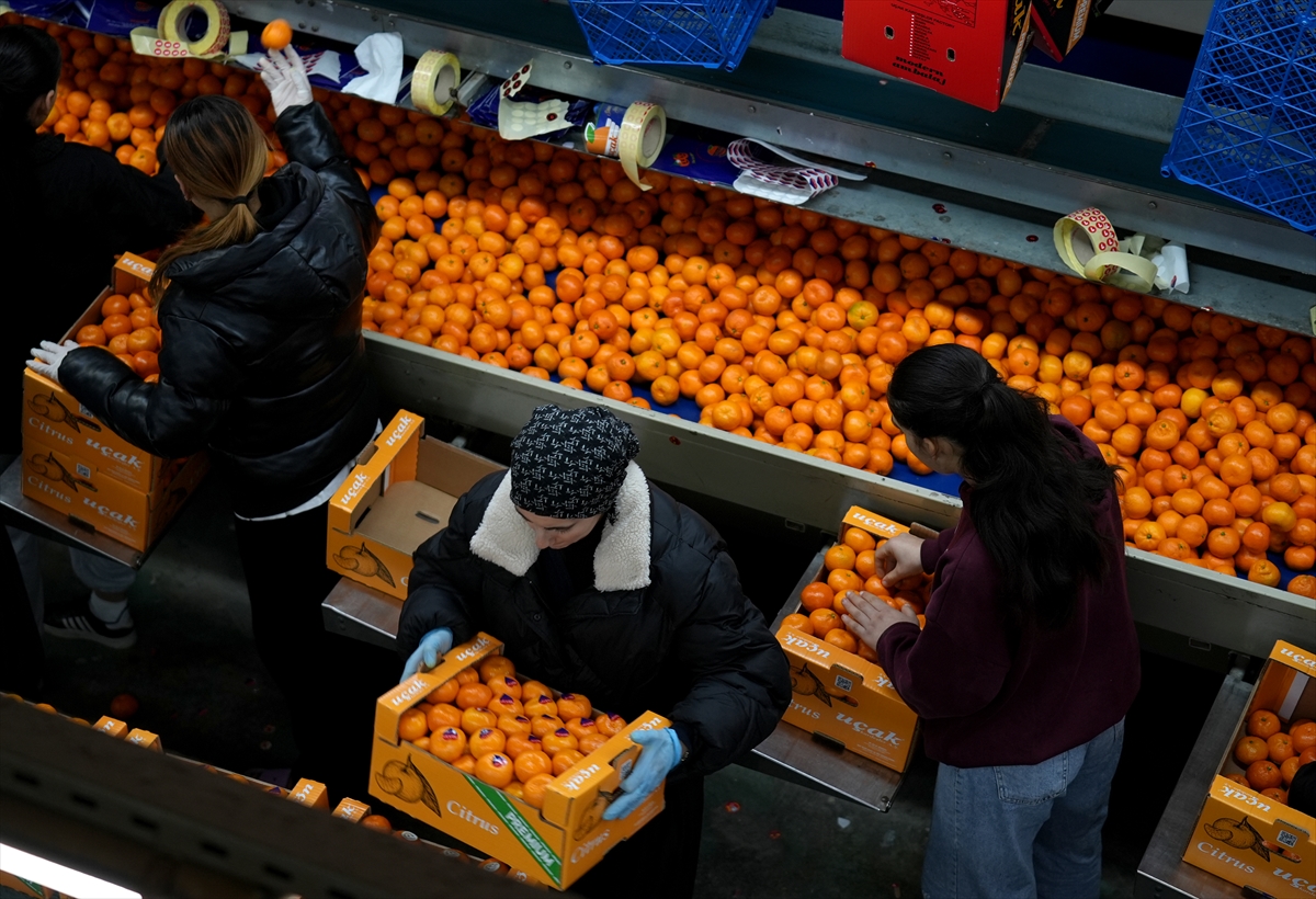 A A 20251217 40002712 40002693 T U R K I Y E N I N M A N D A L I N A I H R A C A T I R E K O R A U L A S T I