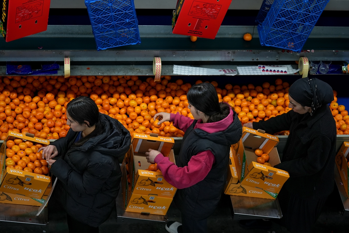 A A 20251217 40002712 40002694 T U R K I Y E N I N M A N D A L I N A I H R A C A T I R E K O R A U L A S T I