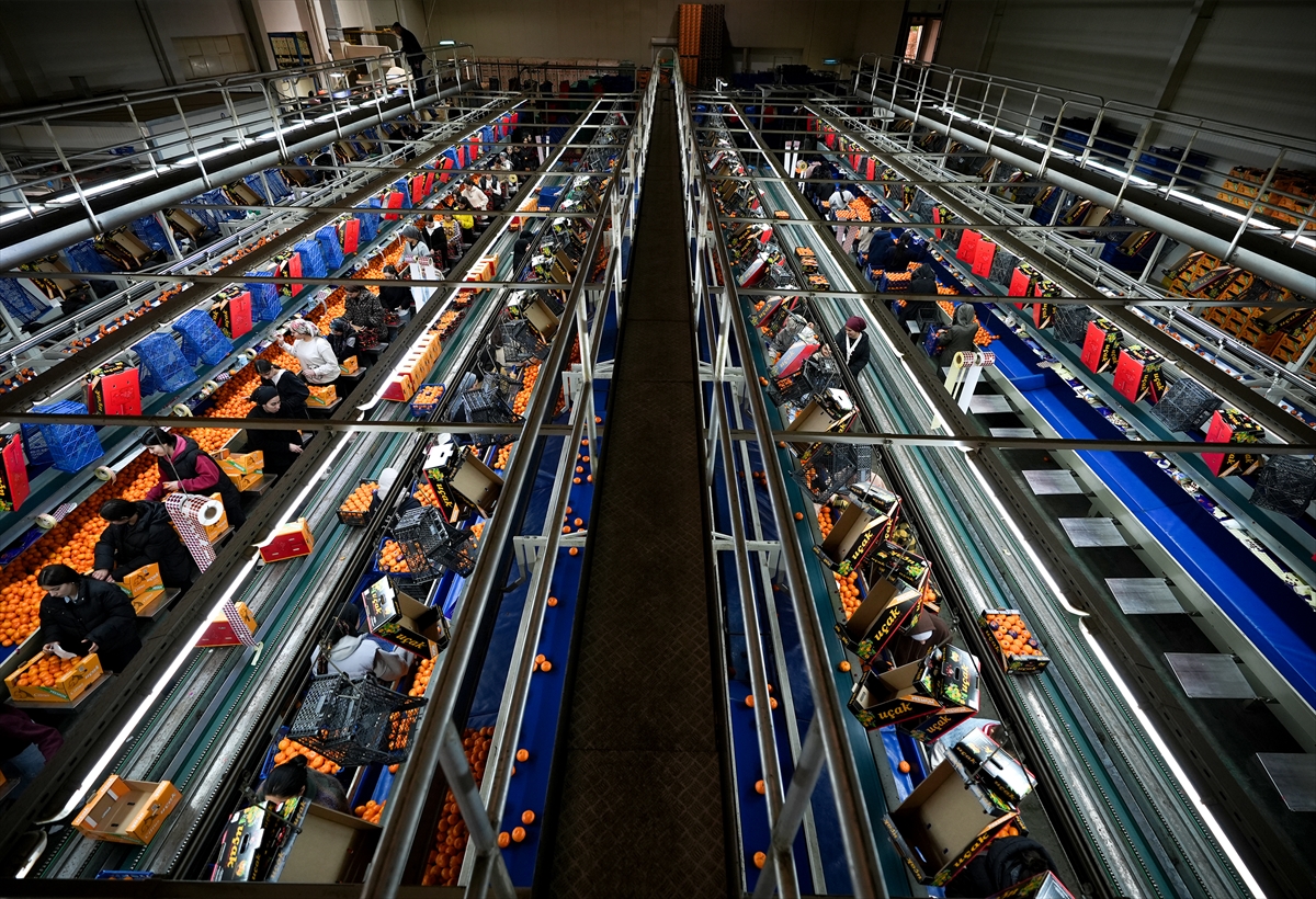 A A 20251217 40002712 40002696 T U R K I Y E N I N M A N D A L I N A I H R A C A T I R E K O R A U L A S T I