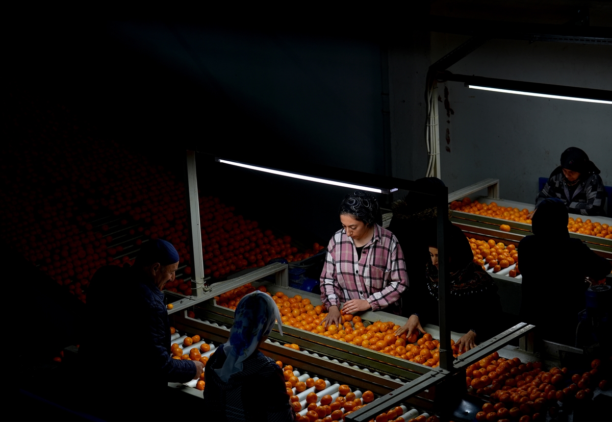 A A 20251217 40002712 40002699 T U R K I Y E N I N M A N D A L I N A I H R A C A T I R E K O R A U L A S T I