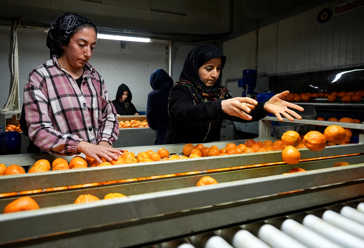 A A 20251217 40002712 40002700 T U R K I Y E N I N M A N D A L I N A I H R A C A T I R E K O R A U L A S T I