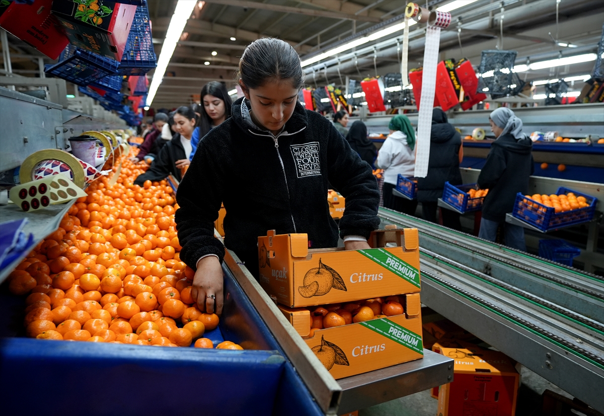 A A 20251217 40002712 40002701 T U R K I Y E N I N M A N D A L I N A I H R A C A T I R E K O R A U L A S T I