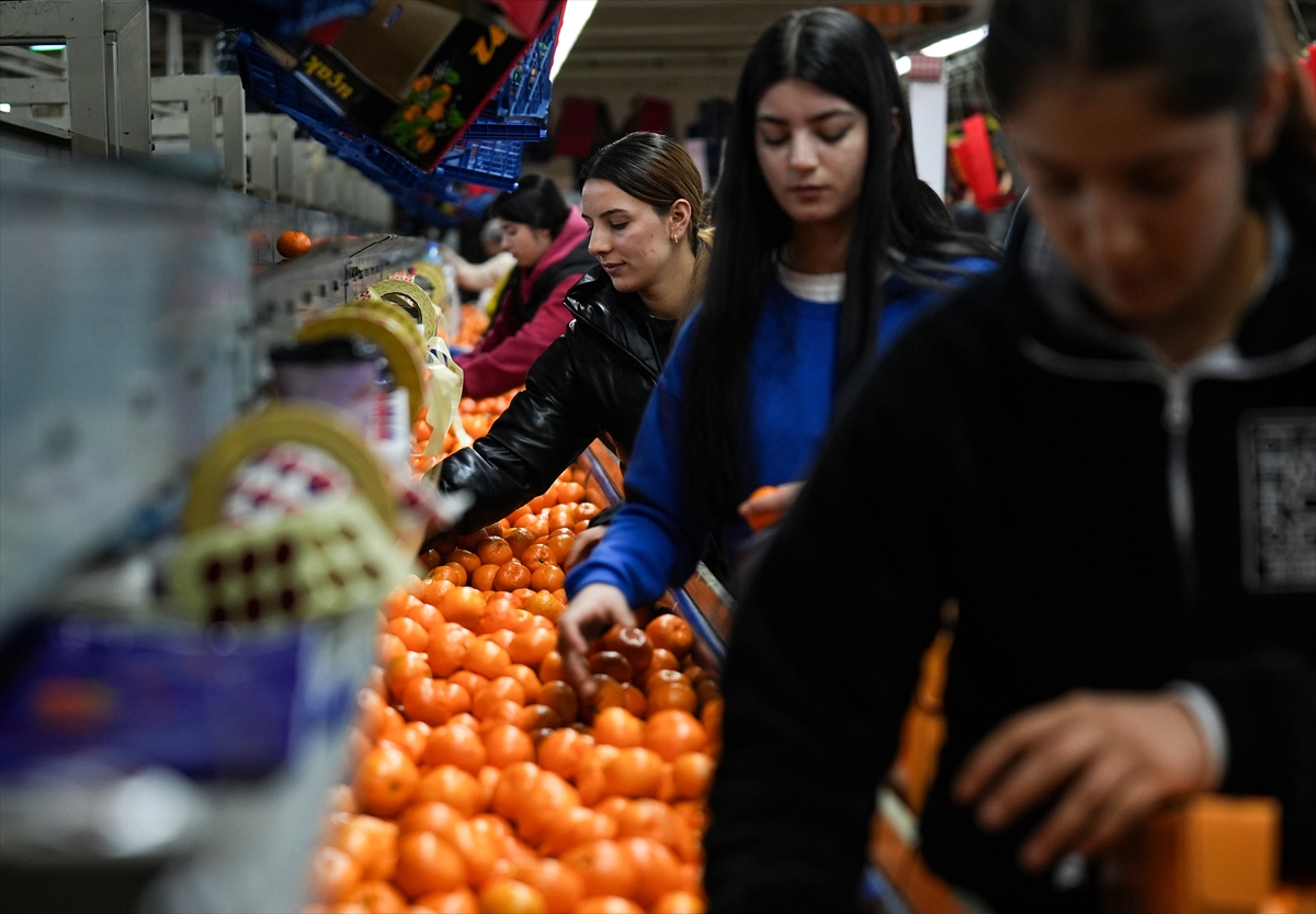 A A 20251217 40002712 40002702 T U R K I Y E N I N M A N D A L I N A I H R A C A T I R E K O R A U L A S T I