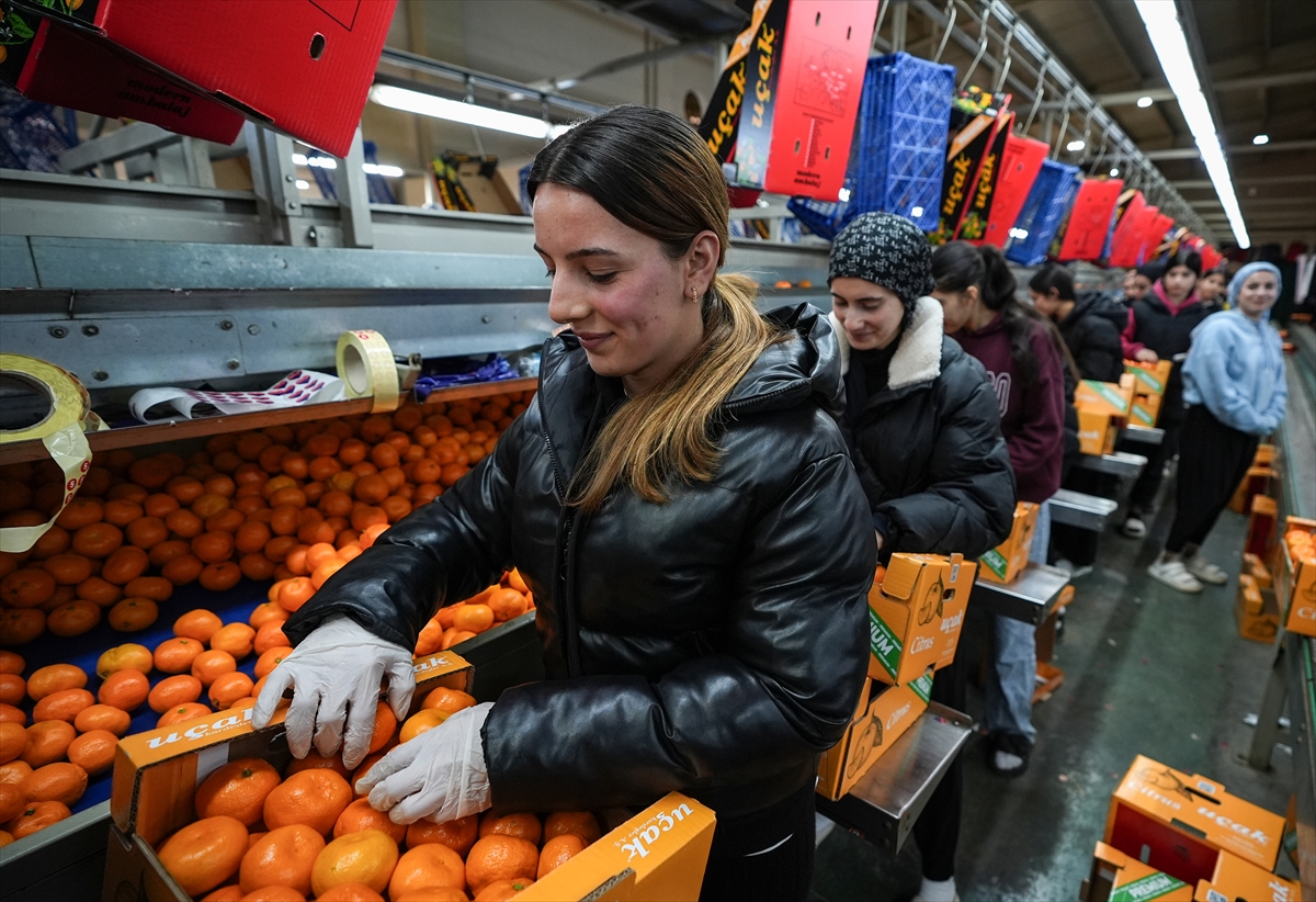 A A 20251217 40002712 40002703 T U R K I Y E N I N M A N D A L I N A I H R A C A T I R E K O R A U L A S T I