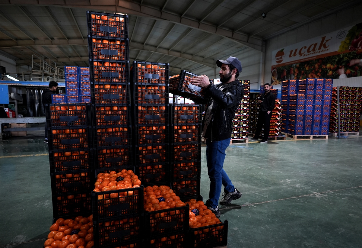 A A 20251217 40002712 40002704 T U R K I Y E N I N M A N D A L I N A I H R A C A T I R E K O R A U L A S T I