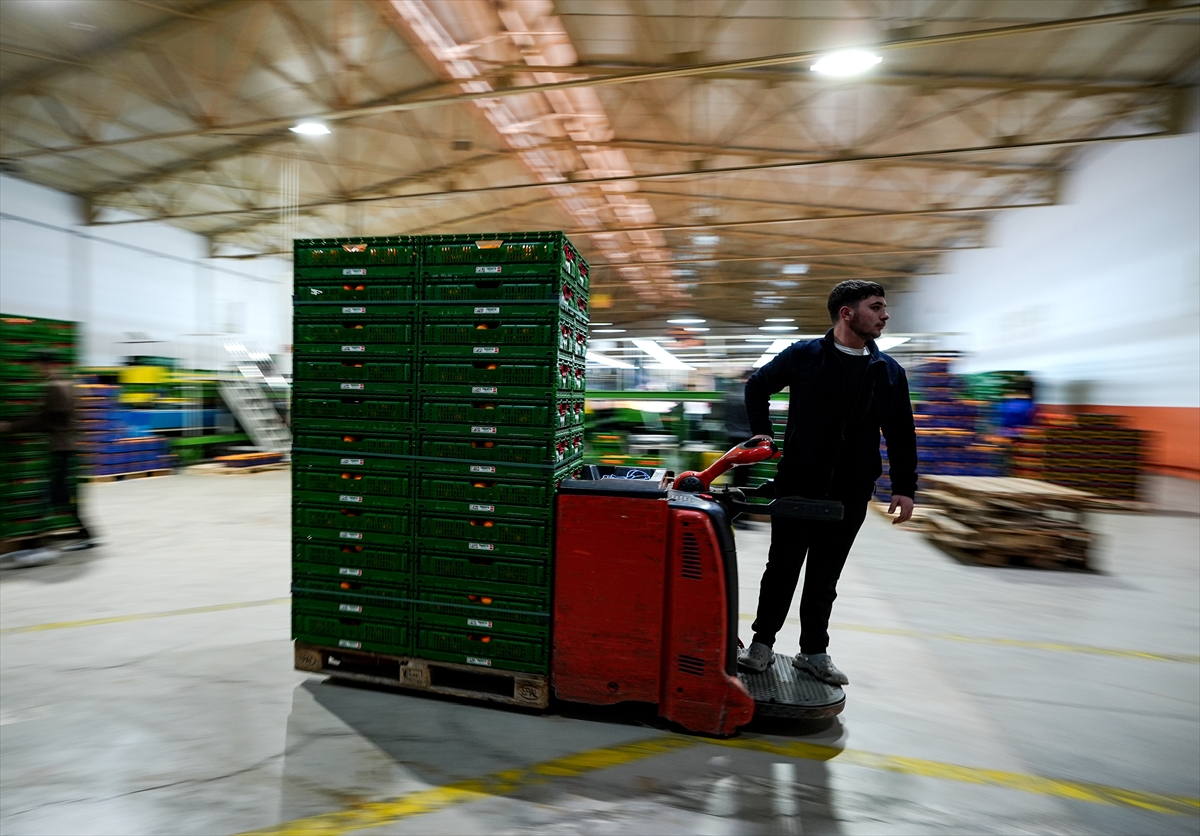 A A 20251217 40002712 40002707 T U R K I Y E N I N M A N D A L I N A I H R A C A T I R E K O R A U L A S T I