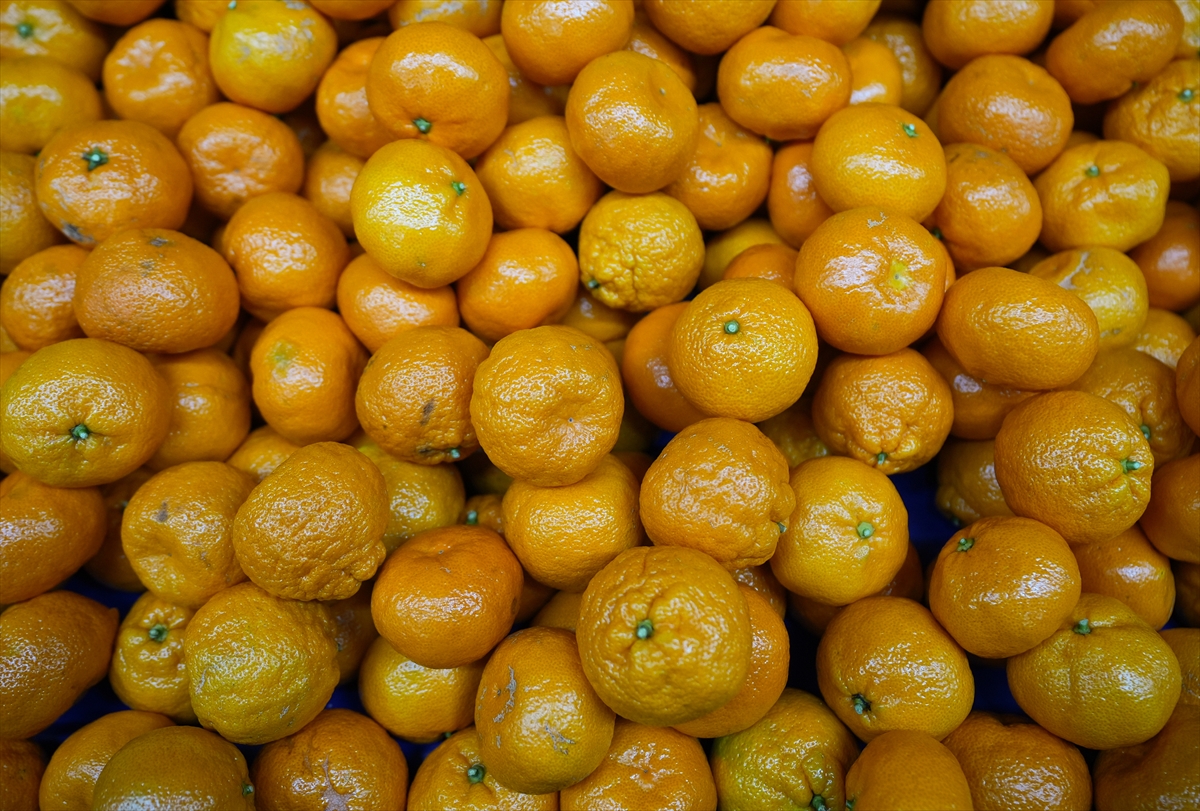 A A 20251217 40002712 40002709 T U R K I Y E N I N M A N D A L I N A I H R A C A T I R E K O R A U L A S T I