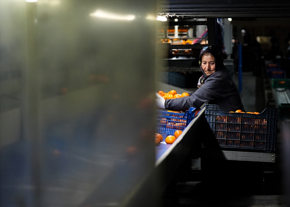 A A 20251217 40002712 40002710 T U R K I Y E N I N M A N D A L I N A I H R A C A T I R E K O R A U L A S T I