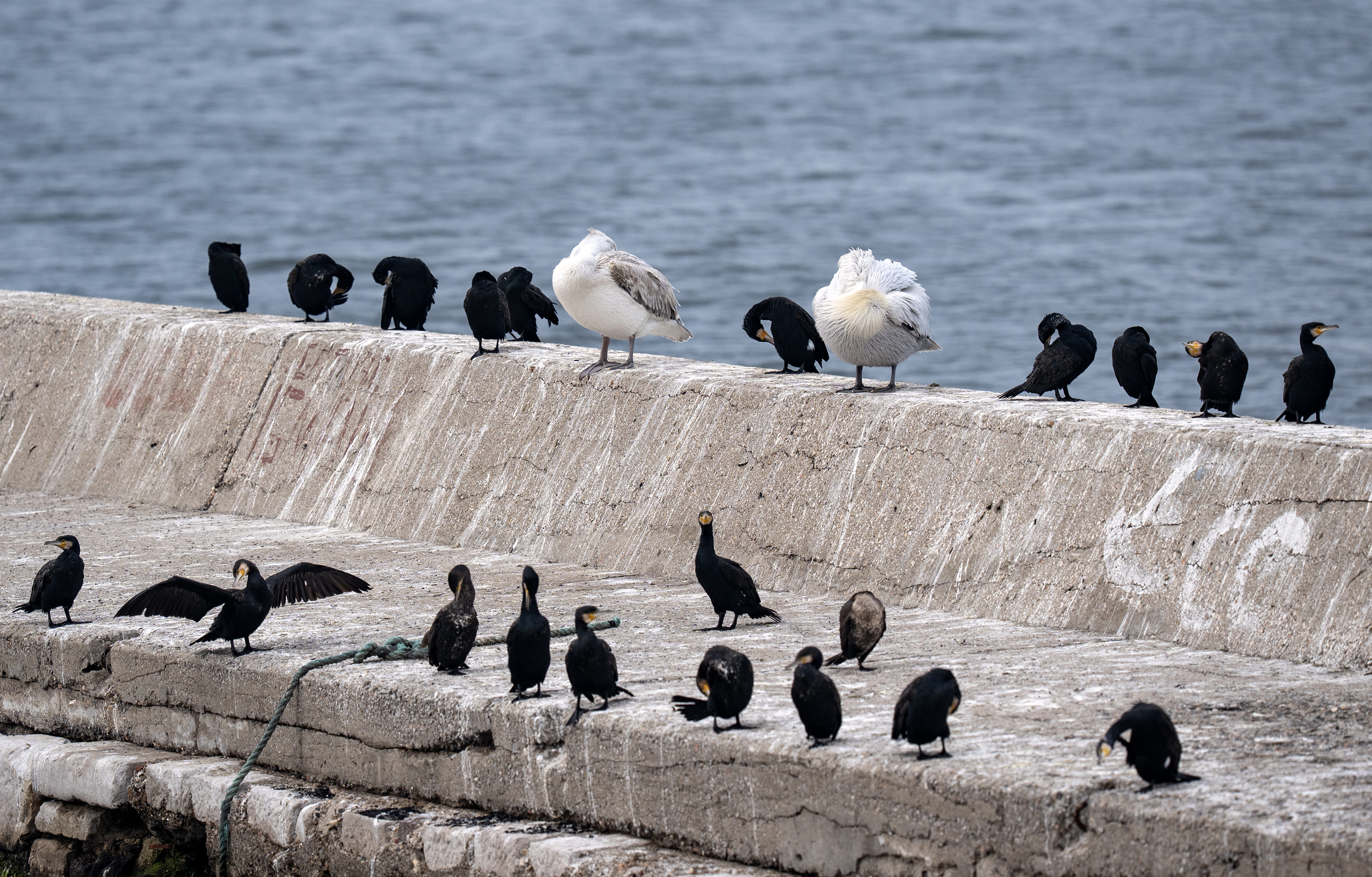 A A 20251224 40061429 40061422 I Z M I R K O R F E Z I N I N M I S A F I R L E R I T E P E L I P E L I K A N L A R