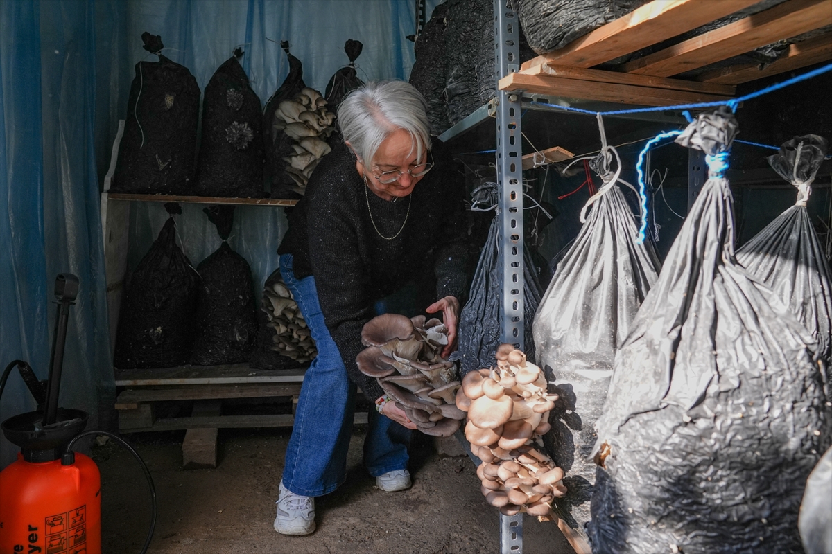 A A 20251226 40081478 40081471 K U R S L A R L A B A S L A Y A N M A N T A R Y E T I S T I R I C I L I G I G U Z E L B A H C E D E U R E T I M M O D E L I N E D O N U S T U