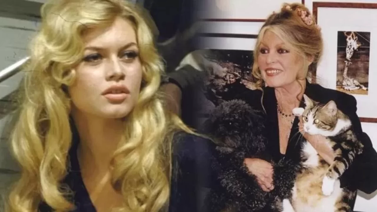 Aid S Fransiz Sinemasinin Efsanesiydi Brigitte Bardotdan Aci Haber Geldi