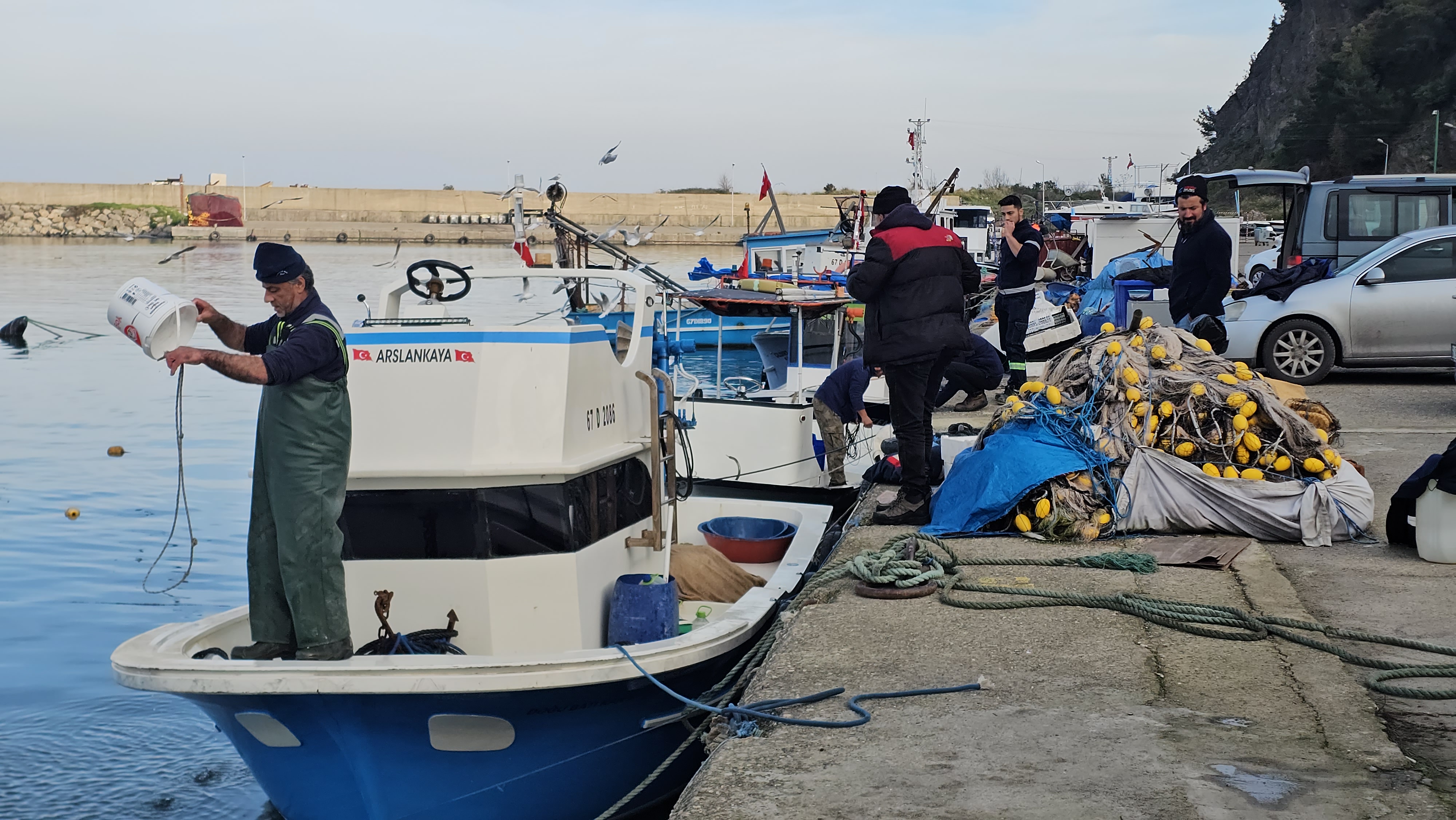 B A L I K C I L A R K A R A D E N I Z D E U M D U K L A R I N I B U L 1071920 318091