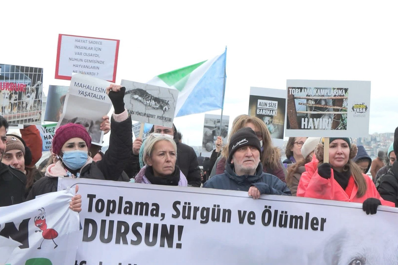 Candostlar H A Y V A N S E V E R L E R Dunyadan