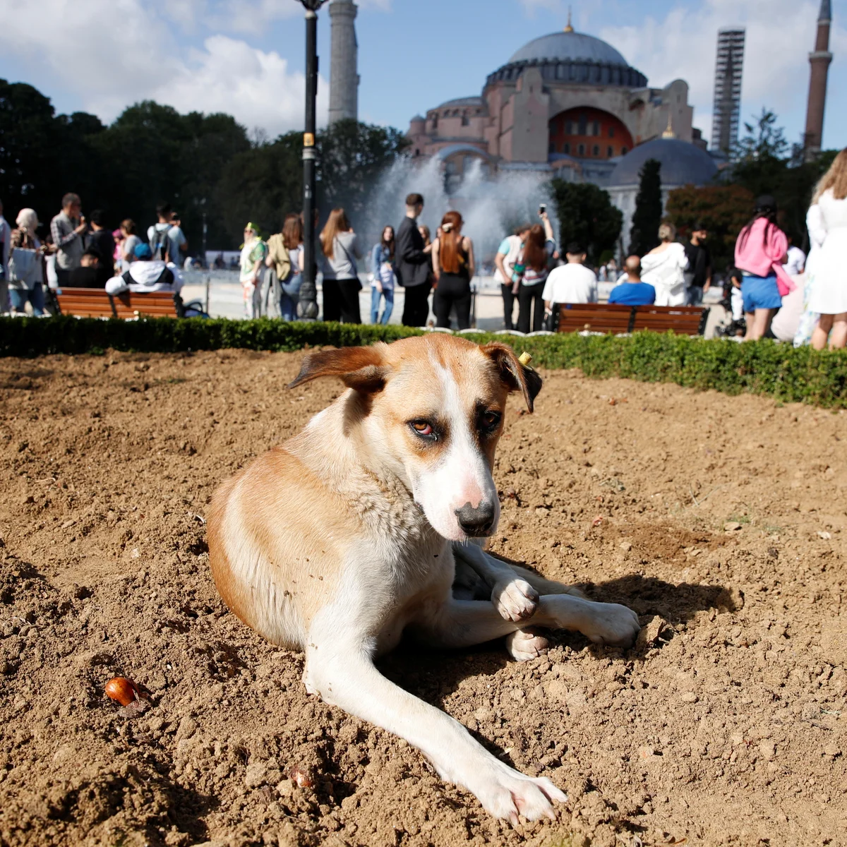 Candostlar Senpolat Dunyadan (1)