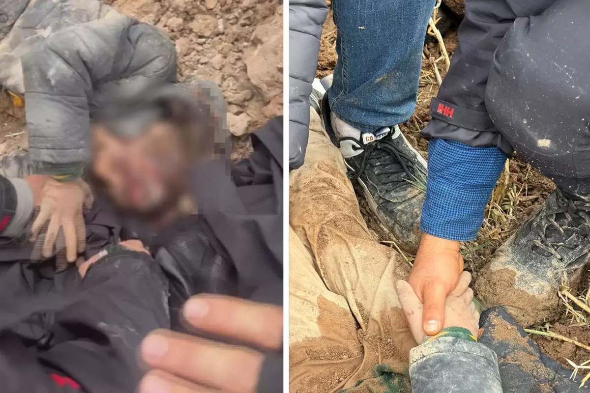 Dayisi Tarafindan Dovulerek Olume Terk Edilen 19333092 6439 Amp