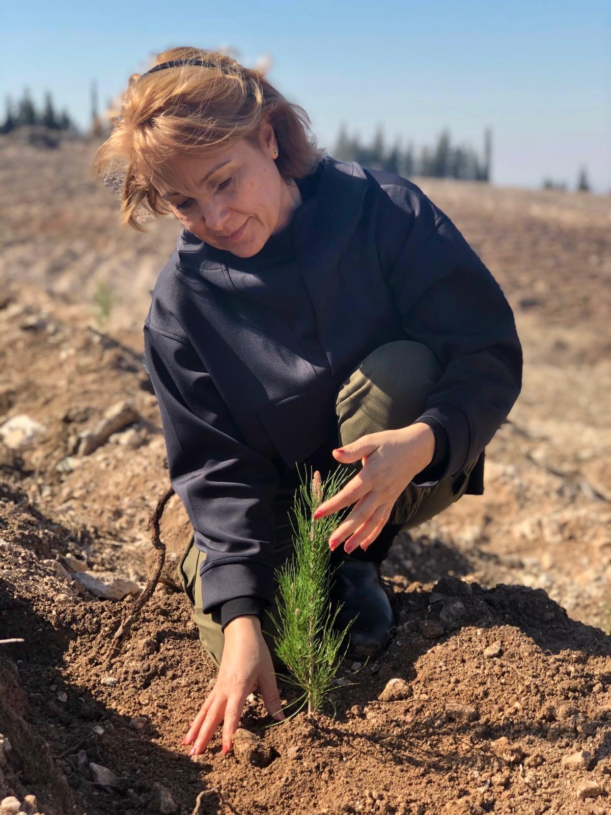 Ege Orman Vakfı Genel Müdürü Perihan Özturk