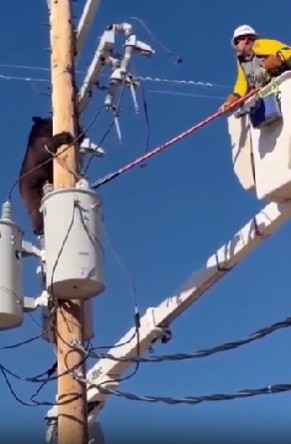 Ekran Görüntüsü 2025 12 01 225529