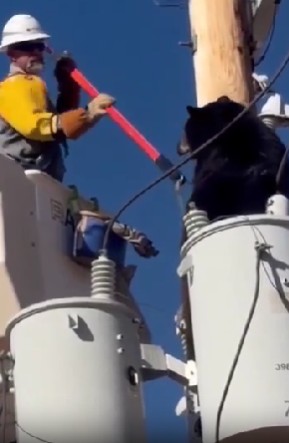 Ekran Görüntüsü 2025 12 01 225556