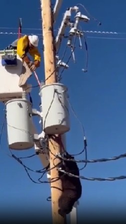 Ekran Görüntüsü 2025 12 01 225640