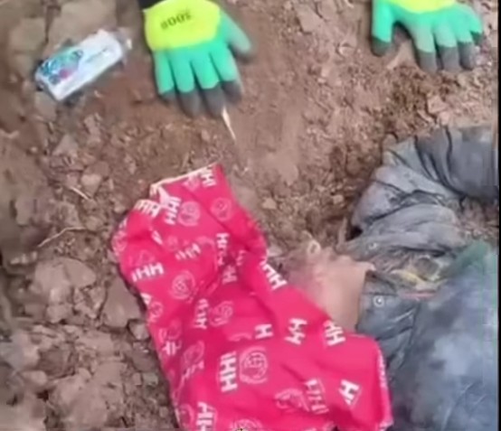 Ekran Görüntüsü 2025 12 07 195852