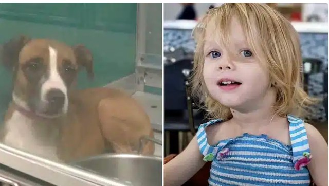 Ekran Görüntüsü 2025 12 11 235500